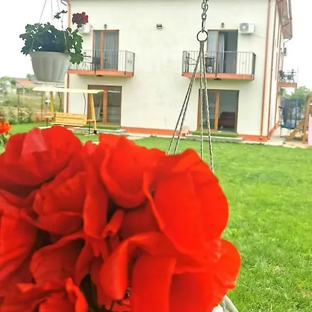 Guest house Casa Perla Marii *