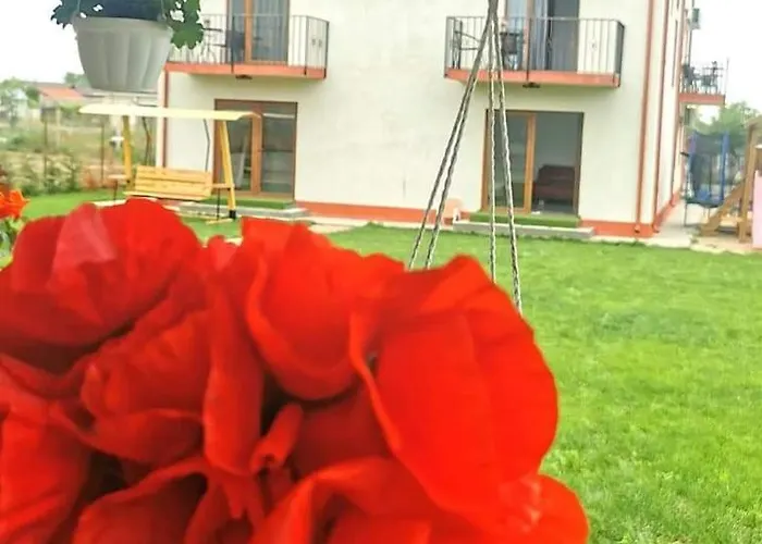 Guest house Casa Perla Marii 3*